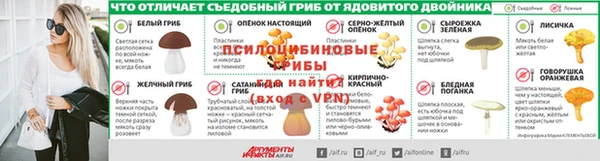 мдпв Верея