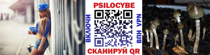 купить наркотики цена  Каспийск  shop официальный сайт  Галлюциногенные грибы Magic Shrooms  ссылка на мегу ссылка 